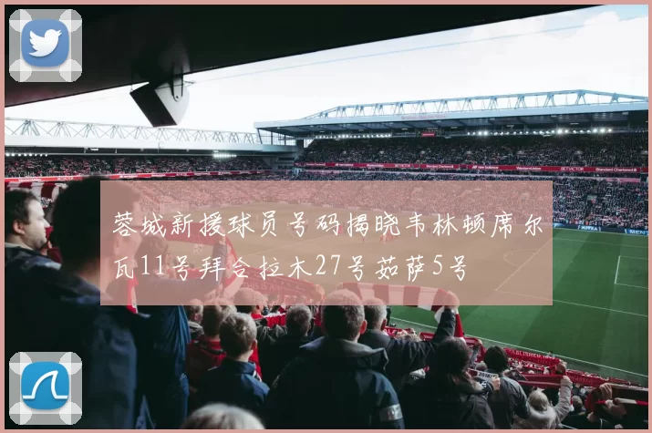 蓉城新援球员号码揭晓韦林顿席尔瓦11号拜合拉木27号茹萨5号
